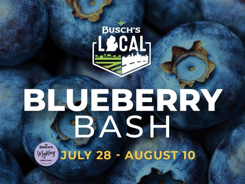 Blueberry Bash Graphic
