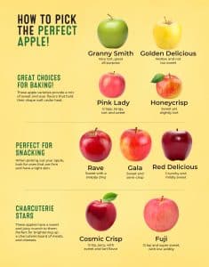 Apple descriptions and what they are best used for.