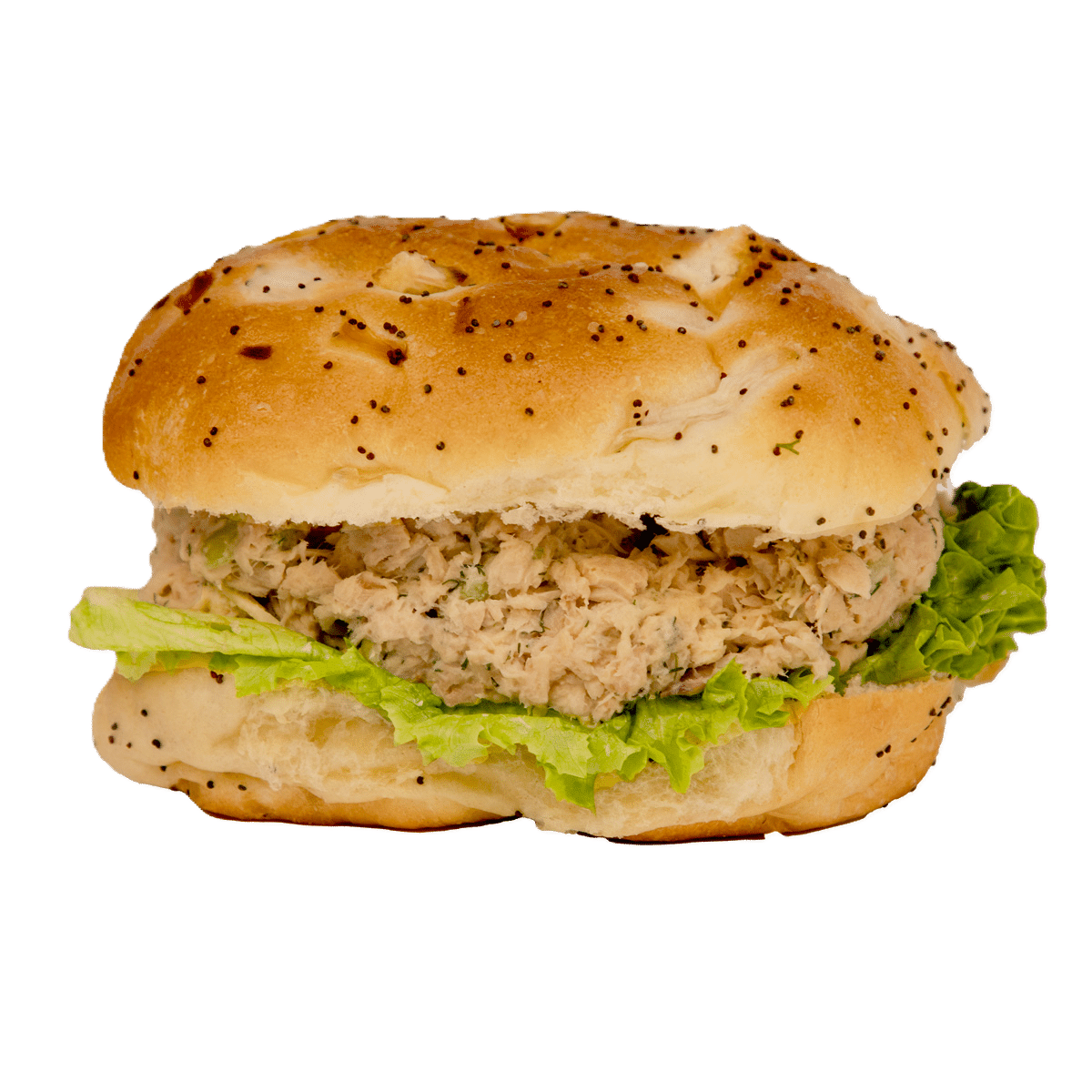 A close view of Busch's Fresh Food Market Tuna Sandwich On A Onion Roll 
