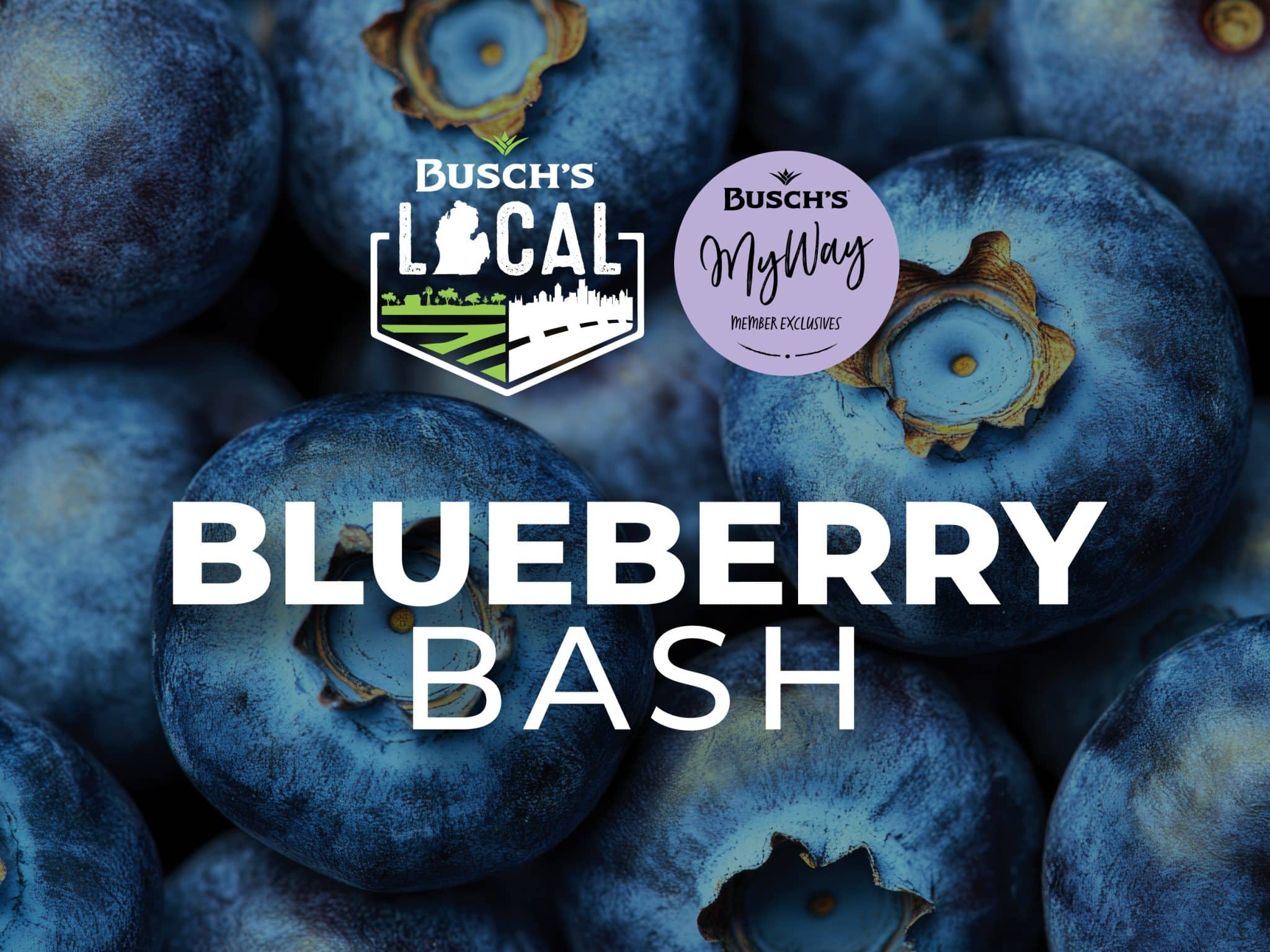 Busch's Cherryfest seasonal promotion featuring Michigan cherries